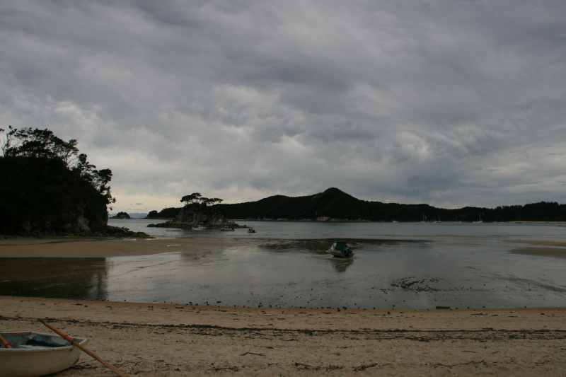 Nieuw-Zeeland 2011 - 1042